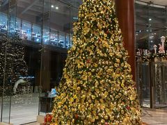 -上海雅居乐万豪侯爵酒店