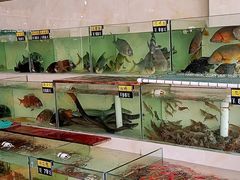 -绢姐海鲜大排档