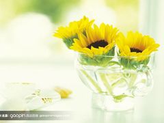 -1314音乐餐厅(锦林大厦店)