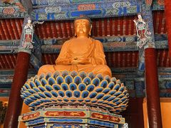 -隆兴寺