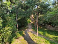 -元大都城垣遗址公园