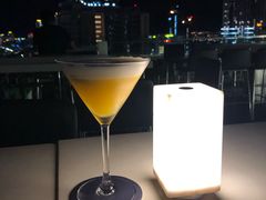 -芽庄喜来登水疗酒店