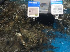 -盒马鲜生(皇庭广场店)