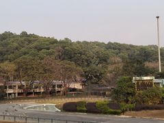 -深圳野生动物园