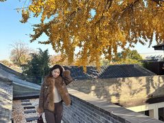 -自如ZSPACE四合院艺术餐厅