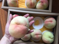 -田园东方蜜桃村的田野营地