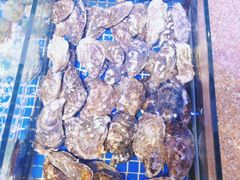 -青蓬蒸汽海鲜·深圳老字号·团建聚会(壹方城店)