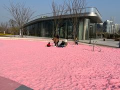 -上海山野camping·户外天幕烧烤·团建拓展营地