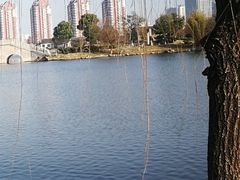 -杏花村文化旅游区