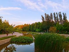 -大望京公园