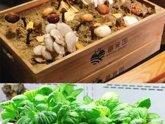 -番食园鲜食火锅(高新店)