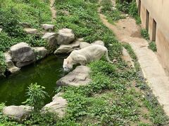 -宁波野生动物园