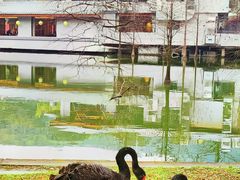 -广东外语外贸大学(白云山校区)