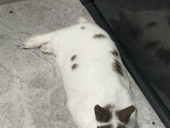 -鑫嘉汇购物中心