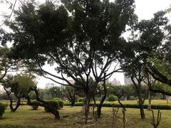 -白鹭洲公园