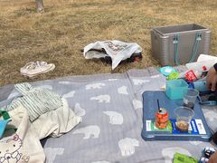 -天津东丽湖风景区