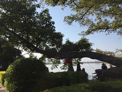 -月亮湾景区