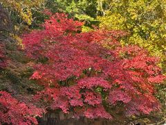 -本溪关山湖风景区