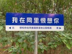 -同里国家湿地公园