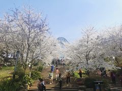 -南山植物园