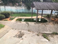 -无锡动物园·太湖欢乐园