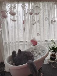 -爱的化妆工作室(雅地天际店)