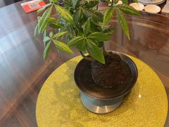 -鹰龙海畔度假酒店(咸祥店)