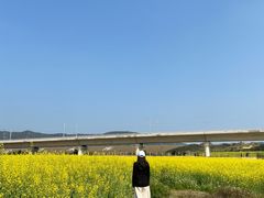 -光明小镇欢乐田园
