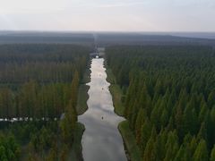 -黄海国家森林公园