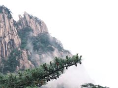 -黄山风景区