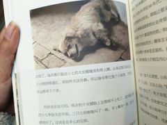 -新华书店(泉城路店)