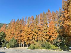 -宁波市保国寺古建筑博物馆