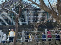-灵顺寺