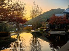-湘湖逍遥庄园·水漾中餐厅