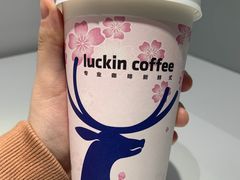 -Kyochon1991校村(共和路店)