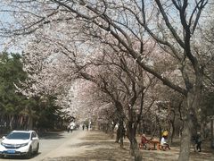 -吉林大学(南岭校区)