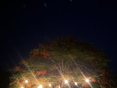 -日落吧·海景咖啡厅·餐酒吧·鸡尾酒·下午茶·乐队表演·浪漫夕阳·三亚文华东方酒店