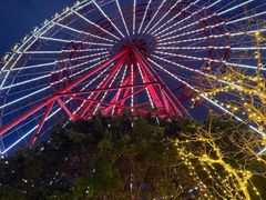 -芽庄珍珠岛游乐园