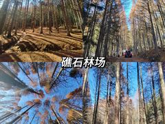 -炎陵县神农谷国家森林公园