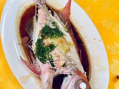 -老字号蛇口德记烧腊饭店·海鲜加工