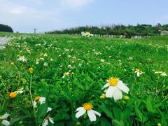 -七星潭蓝天广场