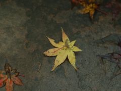 -剑门关风景区