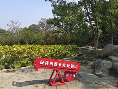 -沂蒙山旅游区云蒙景区(蒙山国家森林公园)