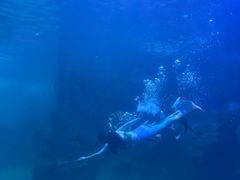 -左海海底世界