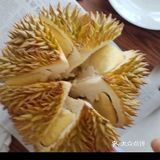 这特价榴莲，抢到就是赚到啊