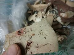 -洪记白水羊头(留学路店)