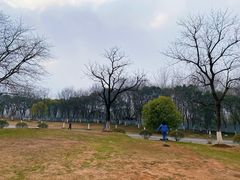 -南京市江宁方山