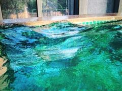 -郑州银基黄帝宫御温泉