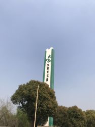 -水八仙生态园