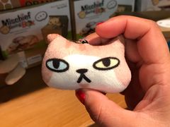 -猫咪博物馆(顶澳仔猫街店)